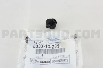 L33X13209 FASTENER