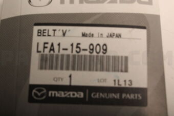 LFA115909 BELTV,W/P&amp;A/L&amp;P/STG&amp;A/C