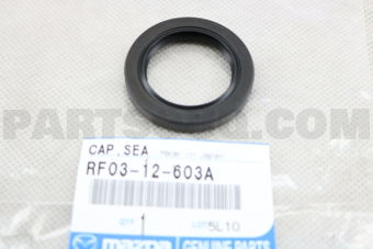 RF0312603A CAP,SEAL-OIL