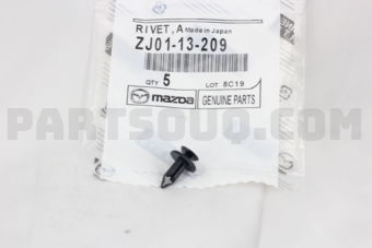 ZJ0113209 RIVET