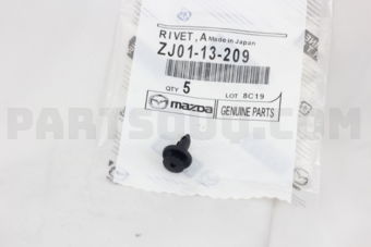ZJ0113209 RIVET