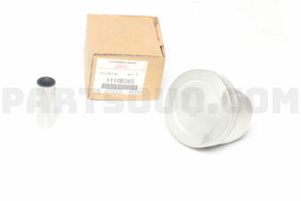 1110B365 PISTON & PIN ASSY
