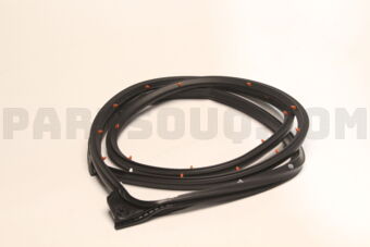 5725A233 Mitsubishi W/STRIP,FRDROPNG,OTRLH