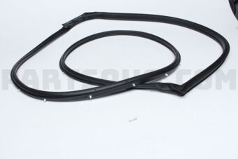 5725A251 W/STRIP,FR DR OPNG,OTR LH