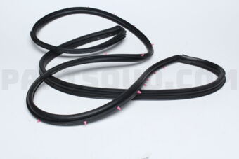 5725A252 W/STRIP,FR DR OPNG,OTR RH