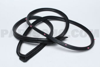 5725A252 W/STRIP,FR DR OPNG,OTR RH