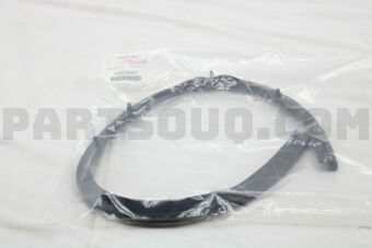 5902A067 WEATHERSTRIP, HOOD , FR