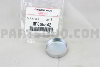 MF665542 CAP,CYLINDER BLOCK