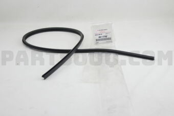 MN117707 MOULDING,WINDSHIELD