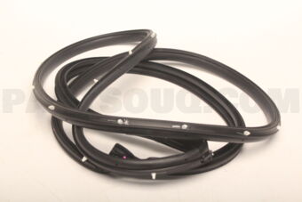 MN136734 W/STRIP,FR DR OPNG,OTR RH