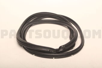 MN136734 W/STRIP,FR DR OPNG,OTR RH