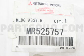 MR525757 MLDG,R/DR WDO BELT LINE,LH