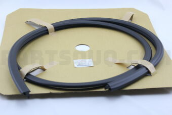 MR557477 MOULDING,W/SHLD