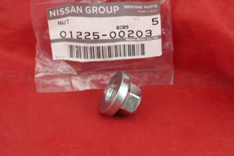 0122500203 NUT