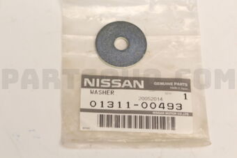0131100493 WASHER