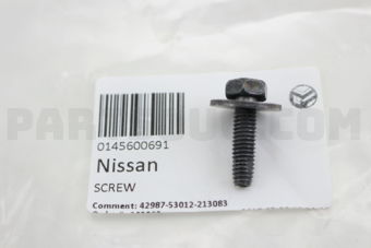0145600691 SCREW