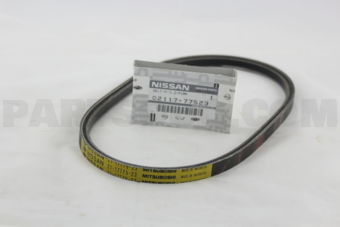 0211777523 BELT-POWER STEERING OIL PUMP
