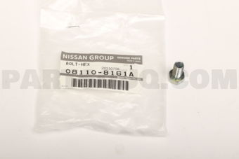 081108161A BOLT HEX