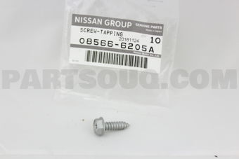 085666205A SCREW-TAPPING