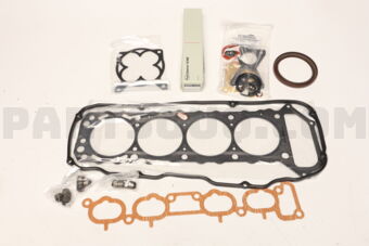 1010140F29 GASKET KIT-ENGINE REPAIR