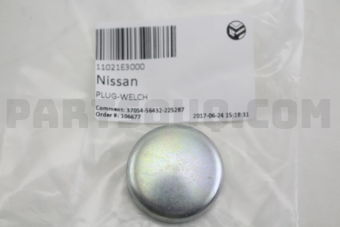 11021E3000 PLUG-WELCH