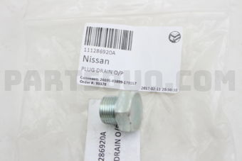 111286920A PLUG-DRAIN