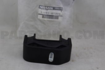 113206T300 INSULATOR