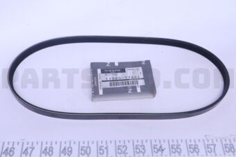 1192077A01 BELT-COMPRESSOR