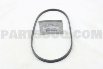 1195067S01 BELT-POWER STEERING OIL PUMP