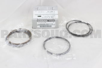 120335V110 RING SET-PISTON