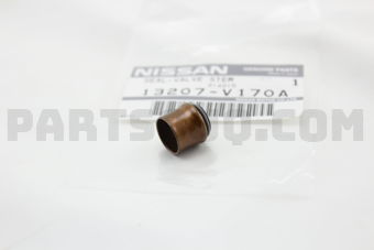 13207V170A SEAL-OIL,VALVE