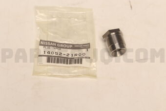 1405221R00 PLUG