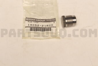 1405221R00 PLUG