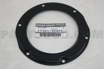 1734140U00 PLATE-LOCK,FUEL GAUGE