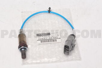 226913Y101 SENSOR ASSY-O2