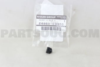 24860C9900 SOCKET & BULB ASSY