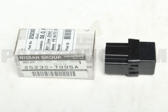 252307995A RELAY