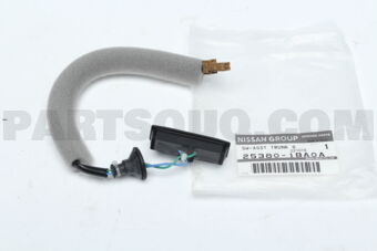 253801BA0A SWITCH ASSY-TRUNK OPENER
