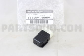 2563079960 RELAY-HORN