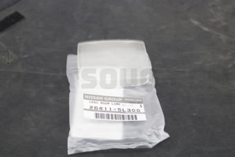 264115L300 LENS-LUGGAGE ROOM LAMP