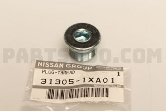 313051XA01 PLUG-THREAD