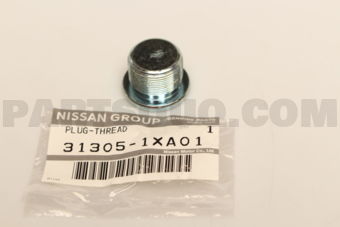 313051XA01 PLUG-THREAD