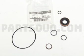495916C925 SEAL KIT-POWER STEERING PUMP