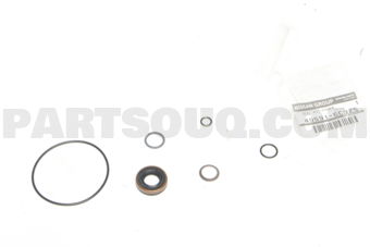 495916C925 SEAL KIT-POWER STEERING PUMP