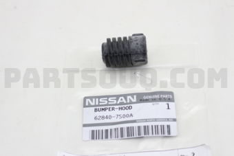 628407S00A BUMPER-HOOD
