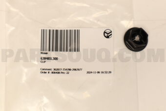 638485L300 CLIP