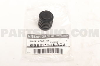 658221KA0A BUMPER-HOOD