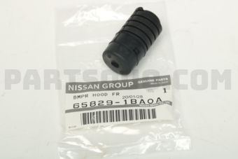 658291BA0A BUMPER-HOOD