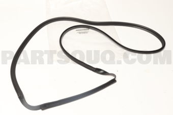 7387201M05 PROTECTOR-GLASS