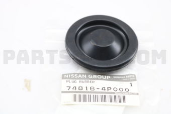 748164P000 PLUG
